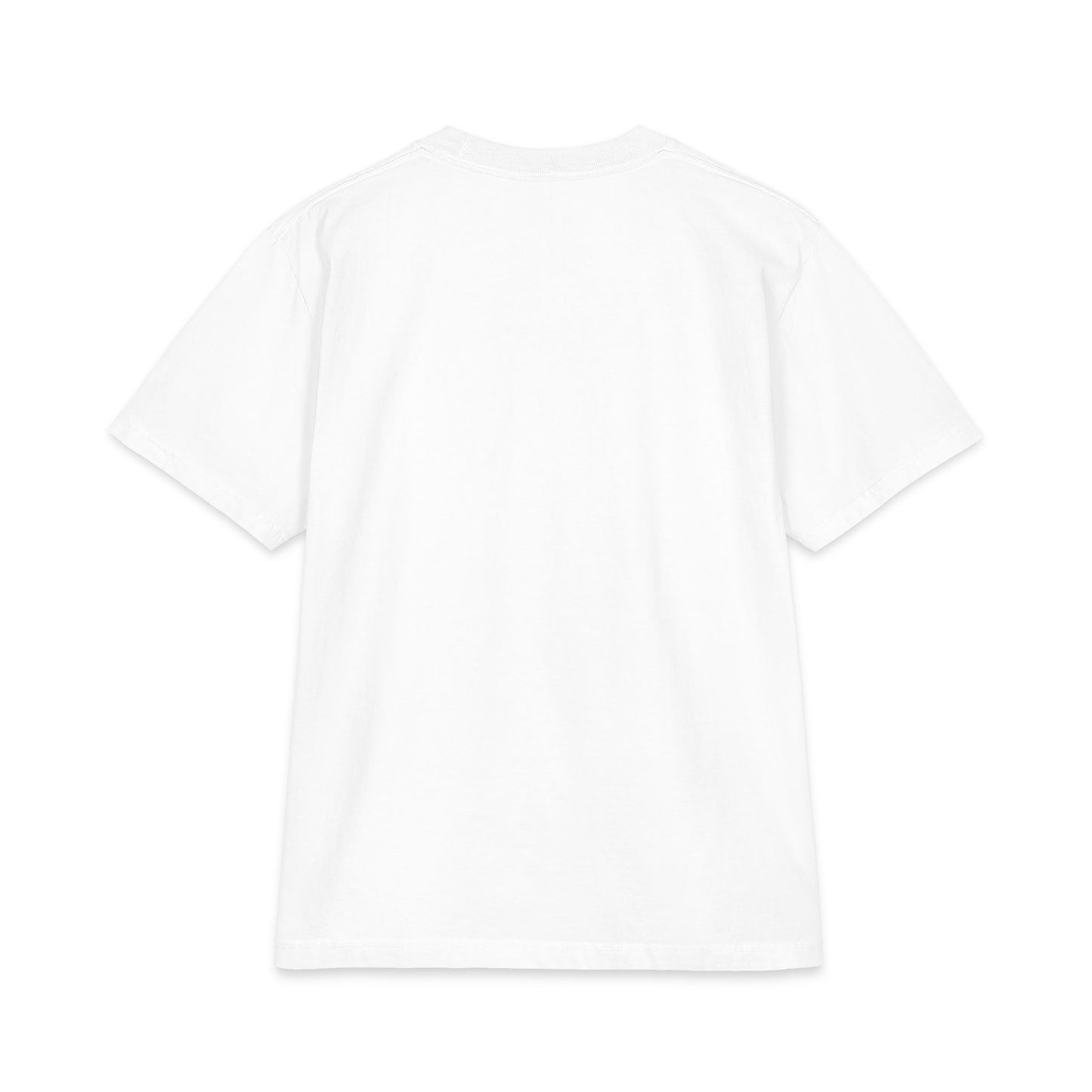 Florida Dame T-Shirt — Notre Dame OWNS the sunshine state!