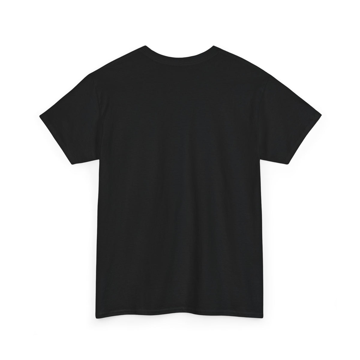 Leprechaun Santa Shirt is BACK!