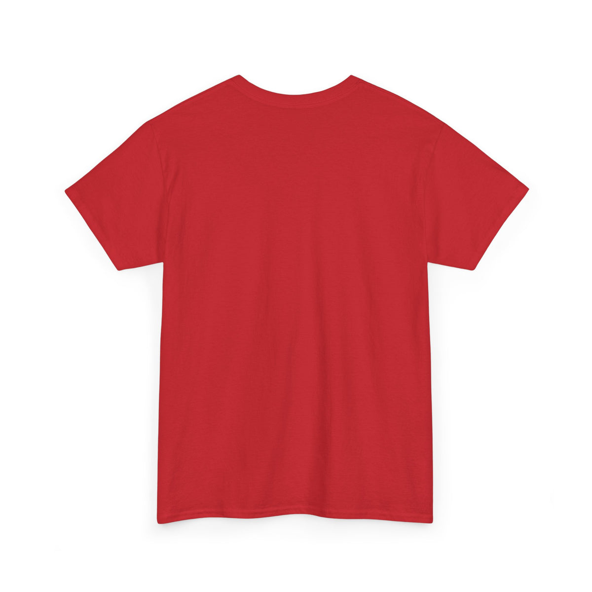 Leprechaun Santa Shirt is BACK!