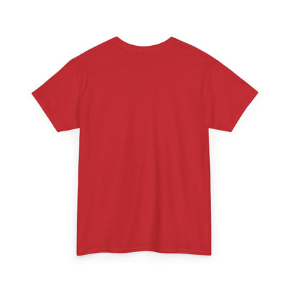 Leprechaun Santa Shirt is BACK!