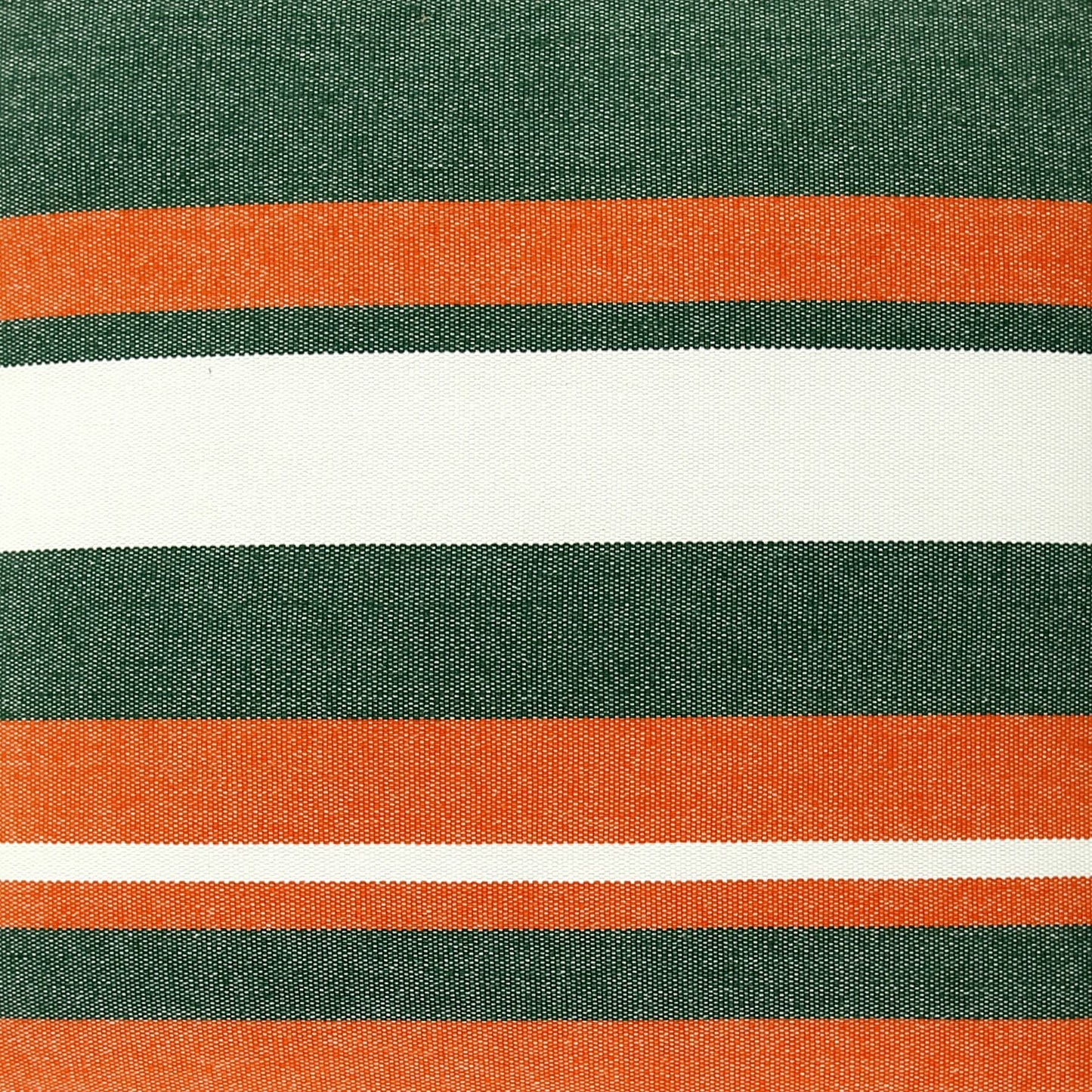 University of Miami Colors Pillow Cover | CANES